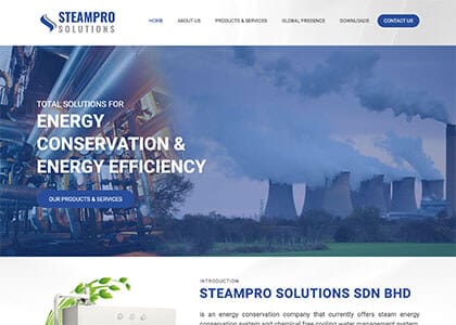 Steam Pro Solutions